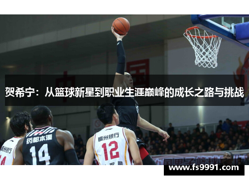 贺希宁：从篮球新星到职业生涯巅峰的成长之路与挑战